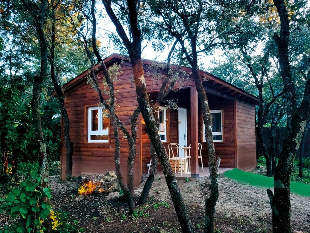 Suite con vistas al jardín