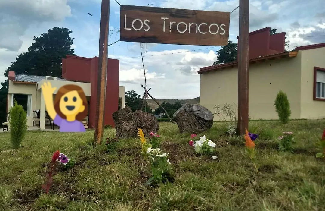 Cabañas Los Troncos-1