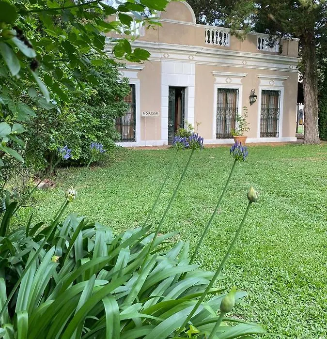 Don Aniceto - Suites de Campo-1