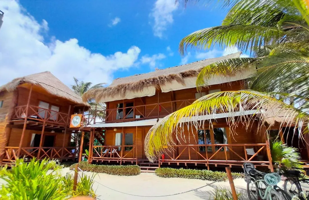 Cabañas Palmeras de Mahahual-1