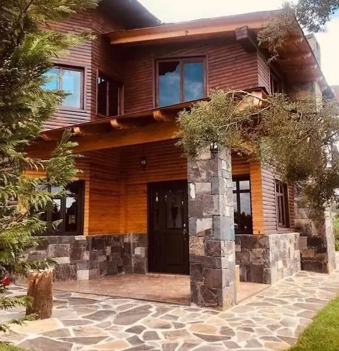 Cabanas Los Girasoles-1