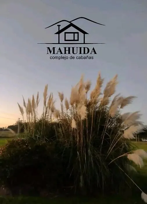 Cabanas Mahuida Tandil-1
