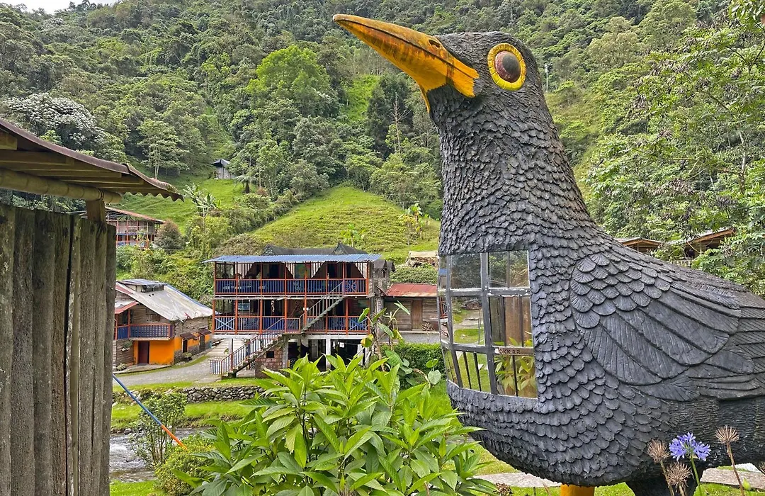 Hotel Cabañas JC-1