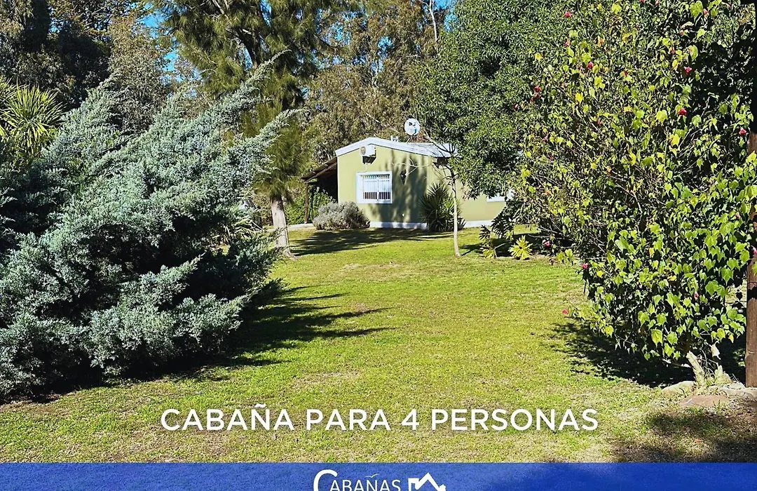 Cabanas Don Vito-1
