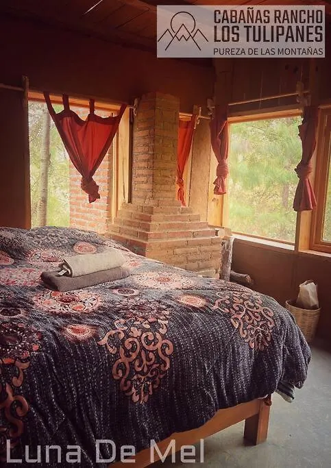 Cabanas Rancho Los Tulipanes - dream of peace-1