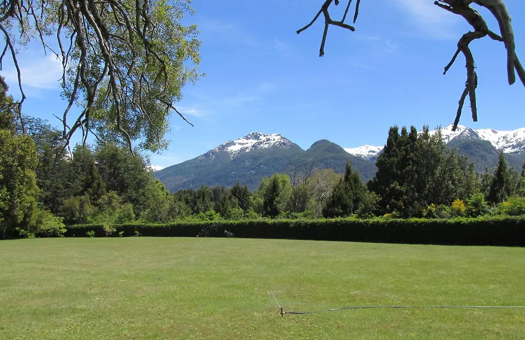 Tejasnegras En El Parque Nacional Los Alerces, Chubut, Argentina-1