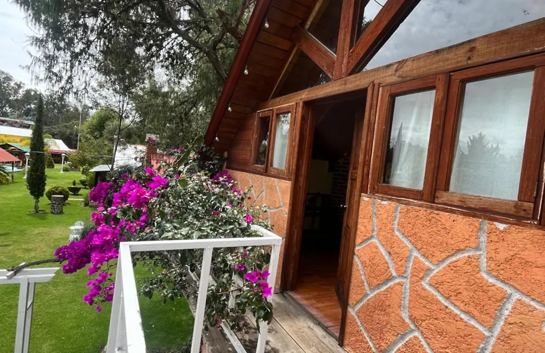 Cabañas Cumbres de Aguacatitla-1