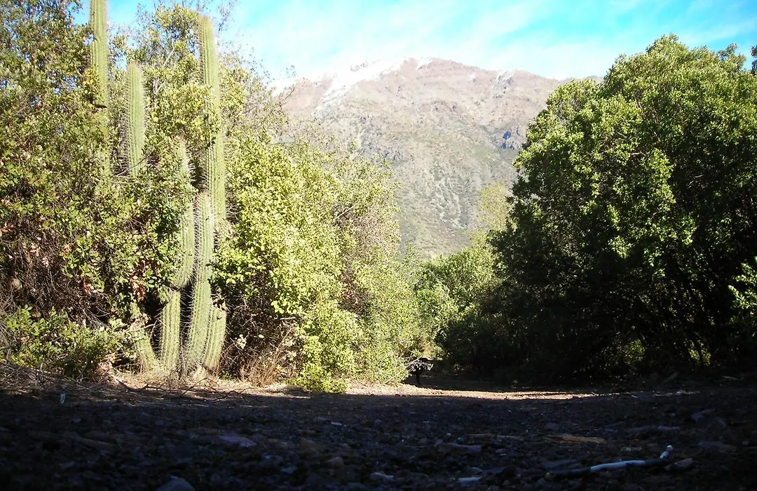 Las lomitas de Guayacan, Cabañas y Spa-1
