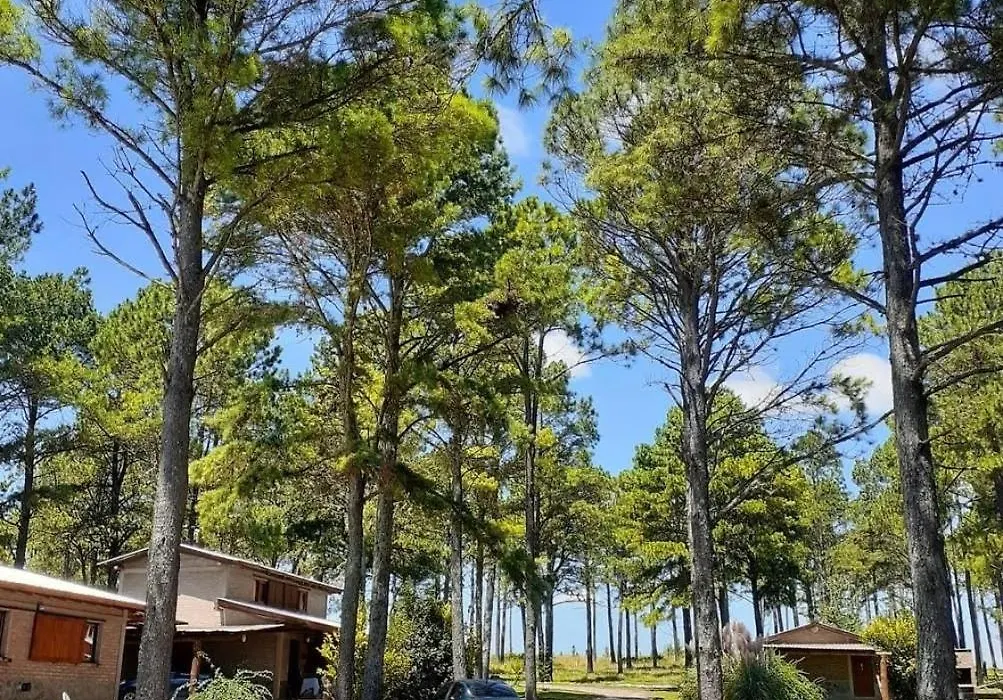 Complejo Village Ristau-1
