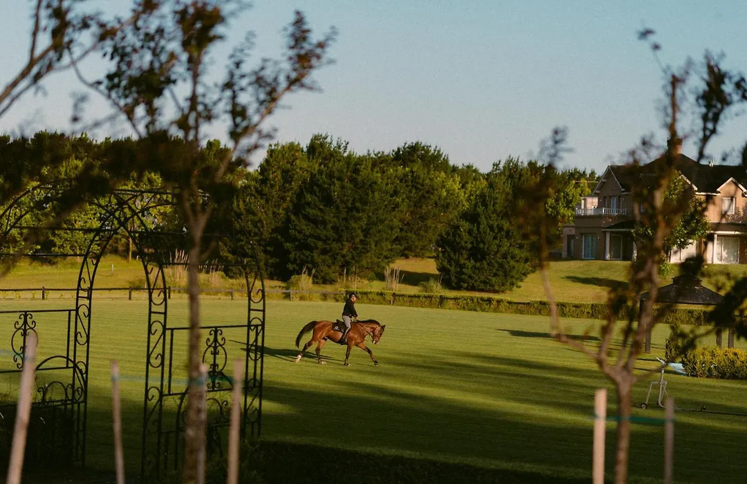Haras Santa María del Mar-1