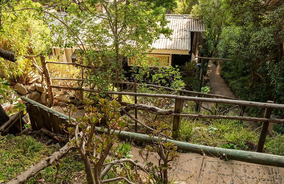 Cabanas Hermansen-1