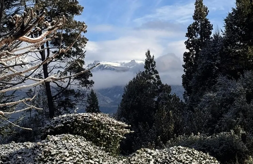 Altos del Sur Cabañas de Montaña-1