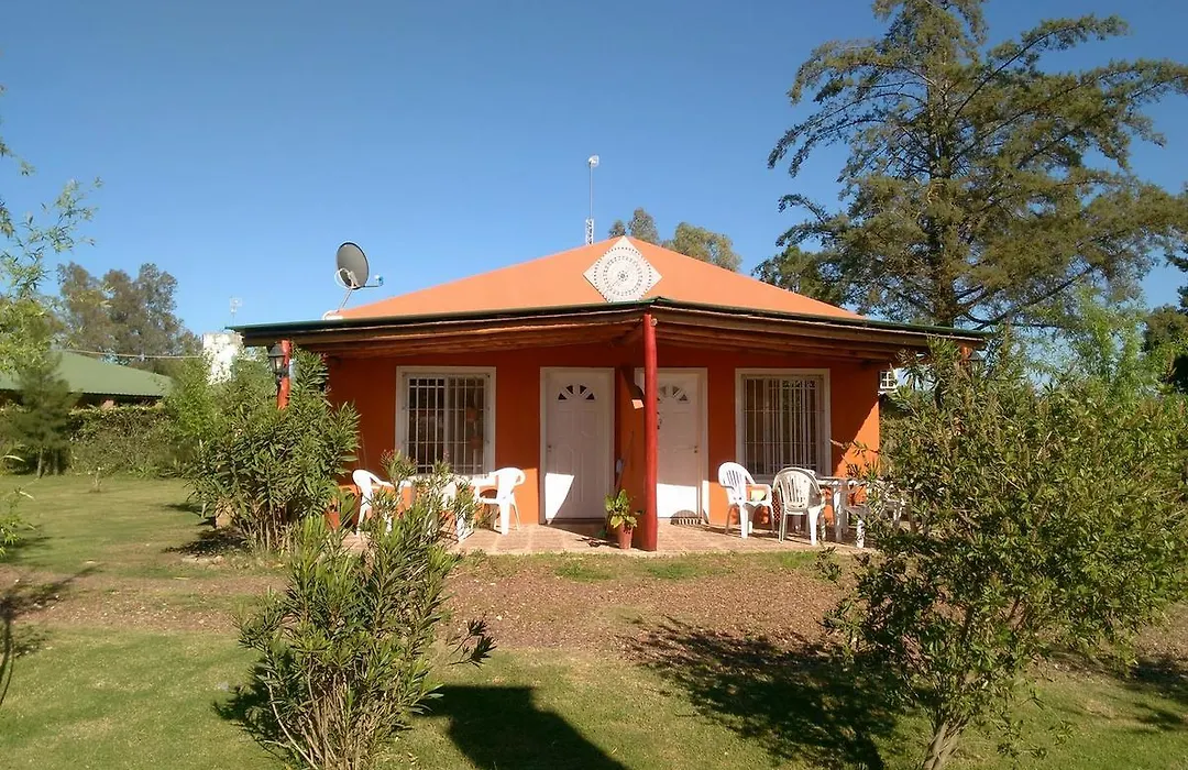 Verde Y Sol En La Colonia-1