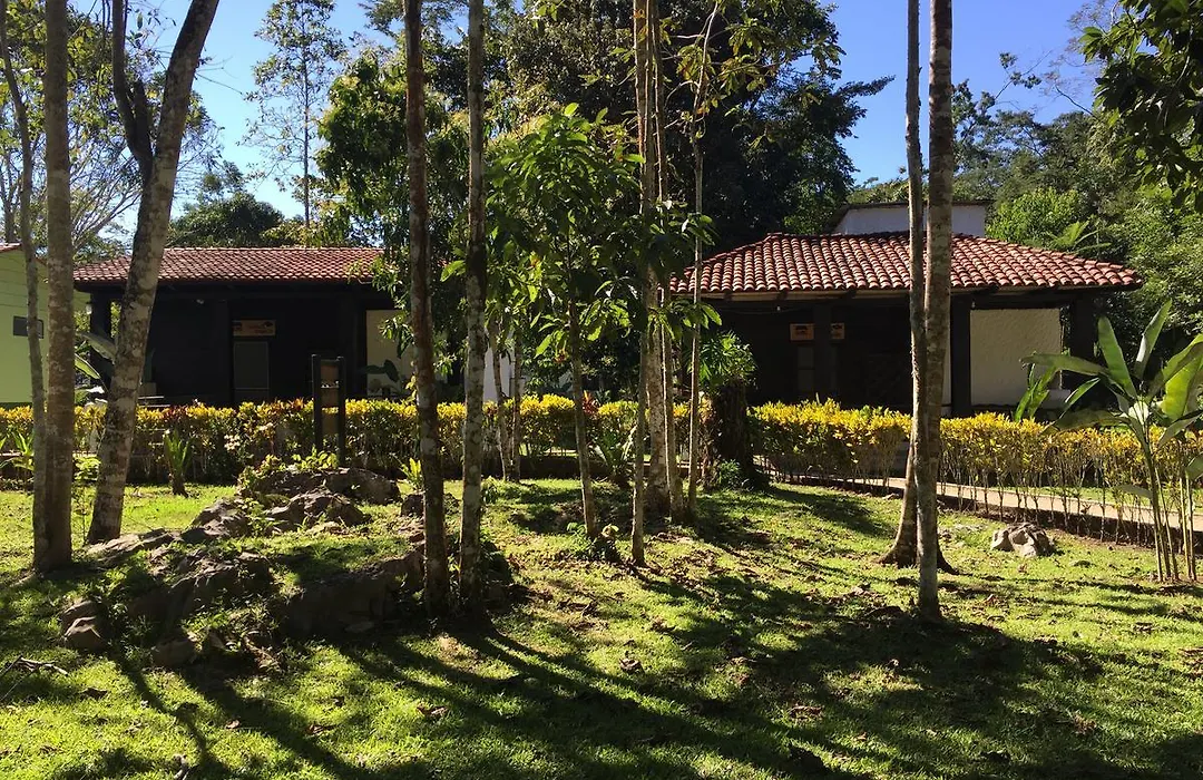 Ecolodge Las Nubes Chiapas-1