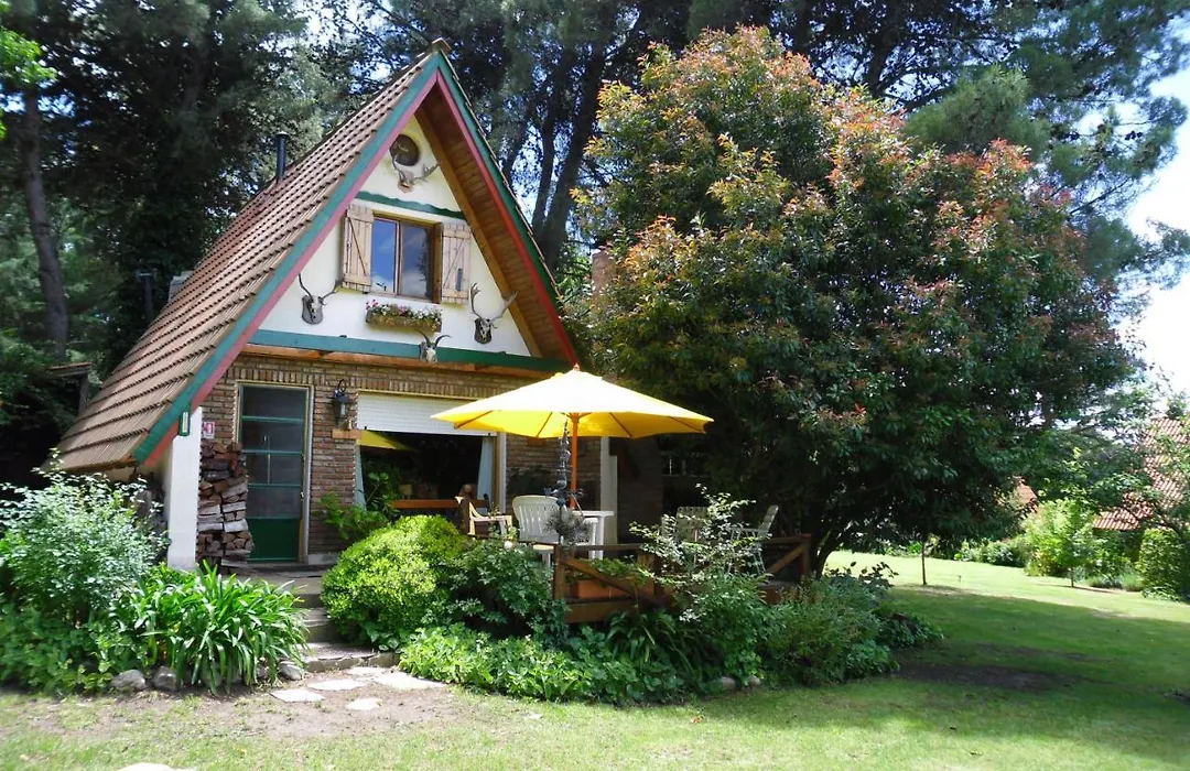 Cabañas Ñuke Mapu-1