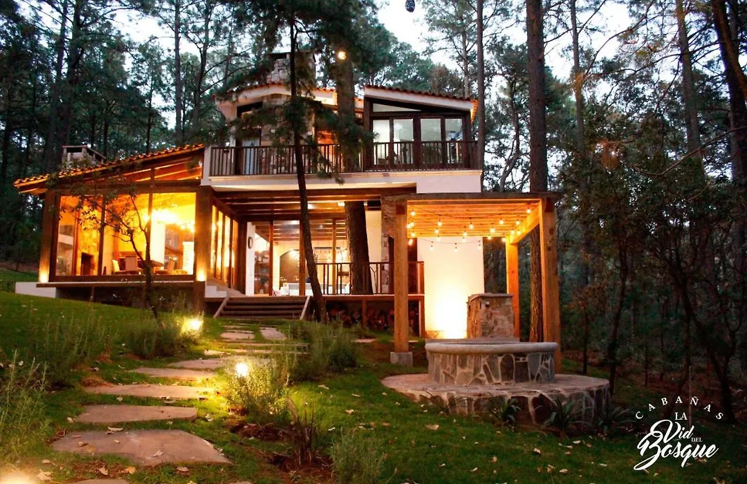 Cabañas La Vid Del Bosque-1