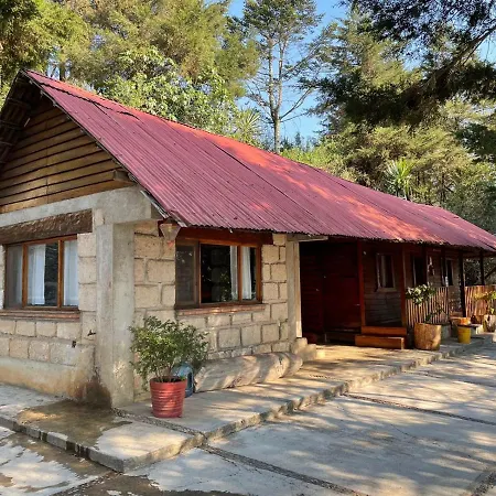 Cabañas 5 Pinos-3