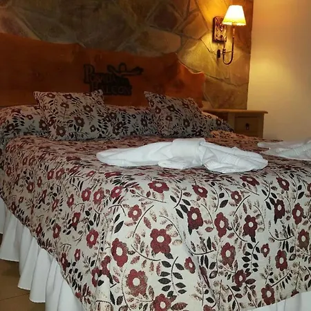 Posada del Halcón - Cabañas y Suites-3