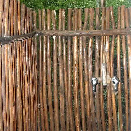 Gaia Paraiso-2
