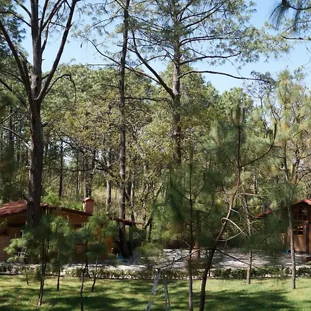 Rincón del Bosque-3