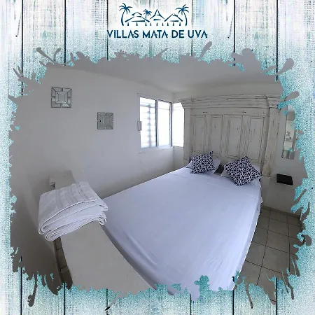 Villas Mata De Uva-3