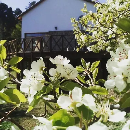 Casa Huilen-3