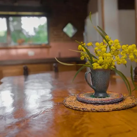 Kimba Bosque-3