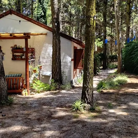 Cabaña Morena-3