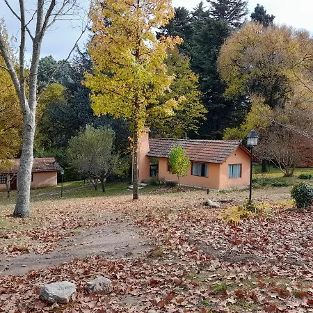 Los Aromos Cabanas & Vinedo-2