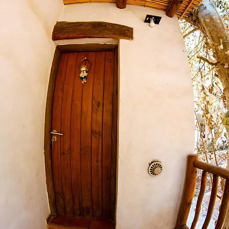 La Casa De Violeta-2