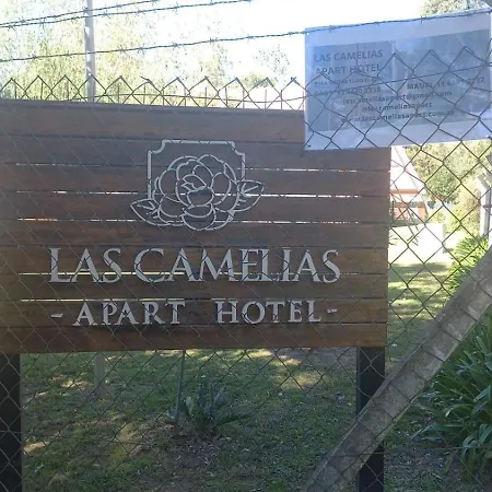 Las Camelias Apart-2
