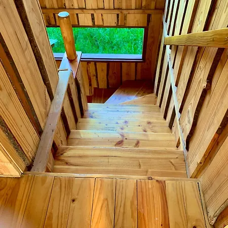 Cabanas Coyanco-2