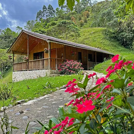Hotel Cabañas JC-2