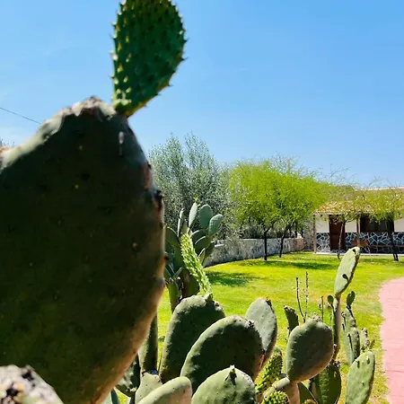 Cabañas Los Olivos-3