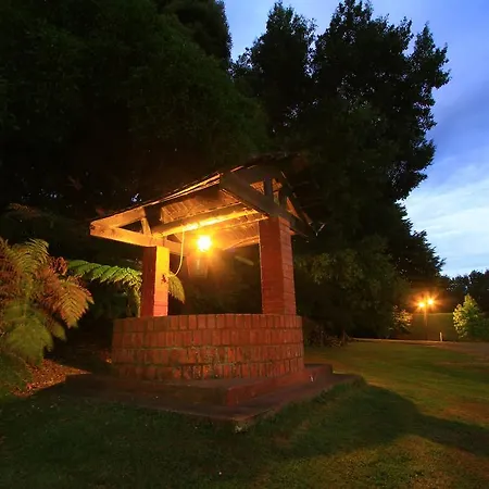 Cabañas de Turismo Araucarias del Sur-2
