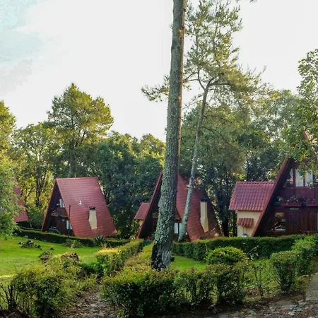 Zirahuen Forest And Resort-3