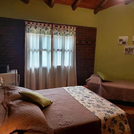 Cabañas Viejo Vivero-2