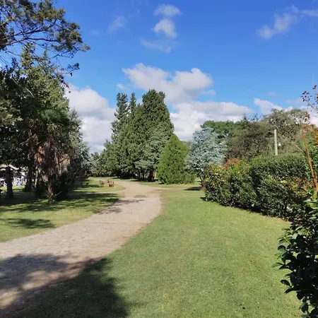 Los Aromos-2