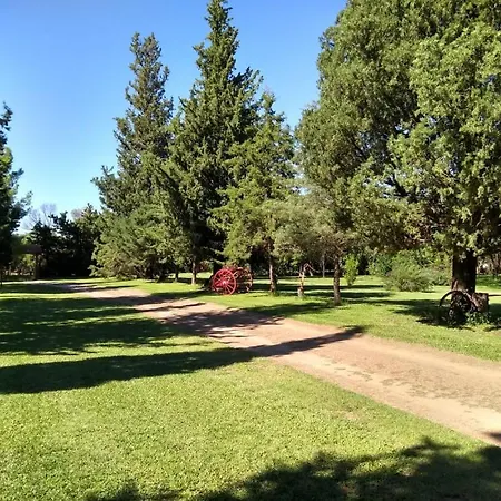 Los Aromos-3