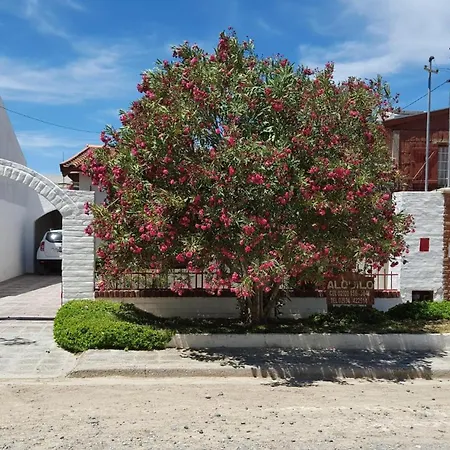 Ruca Antu-2