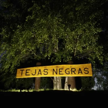 Tejasnegras En El Parque Nacional Los Alerces, Chubut, Argentina-2