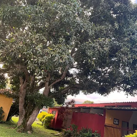 Tacuara Hotel-3
