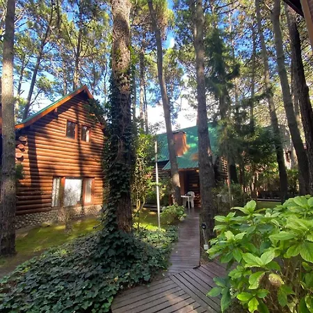 Cabañas y Apart Utopia-2