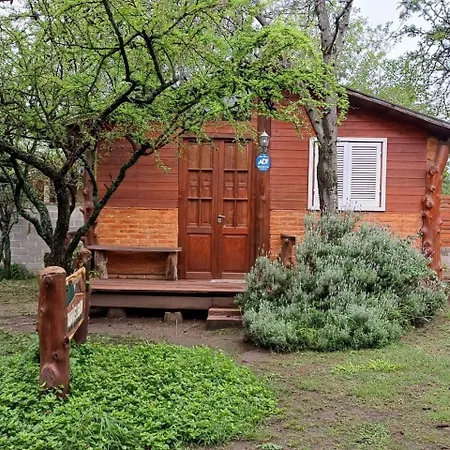Cabañas Lignum - Tiny House-3