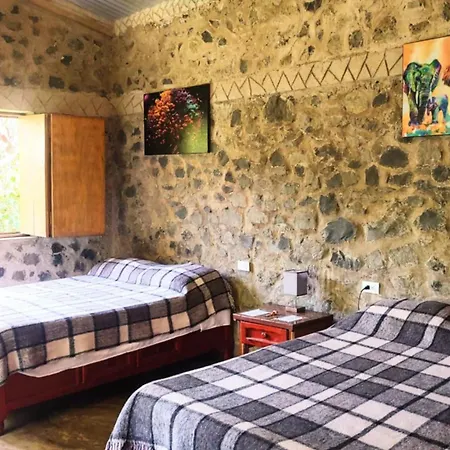 Cabañas Ixaya-2