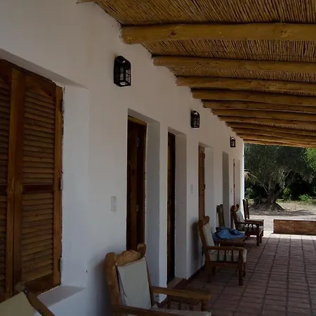 Cabañas y dormis Zgris-3