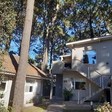 Cabañas Antares-3
