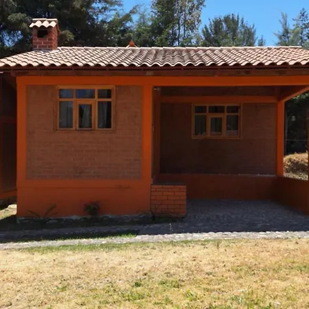 Cabañas cipreses-2