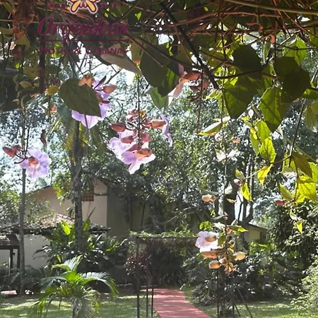 Orquideas Hotel&Cabañas-3