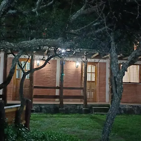 Cabañas Lignum - Tiny House-2